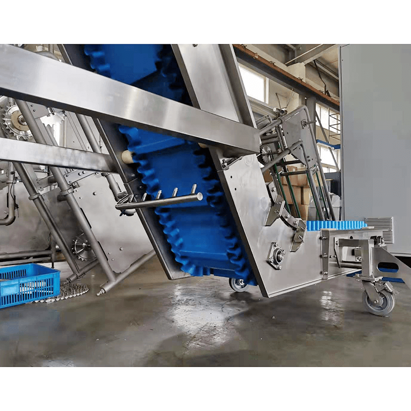 Food Grade Water-Washing Elevator & Conveyor