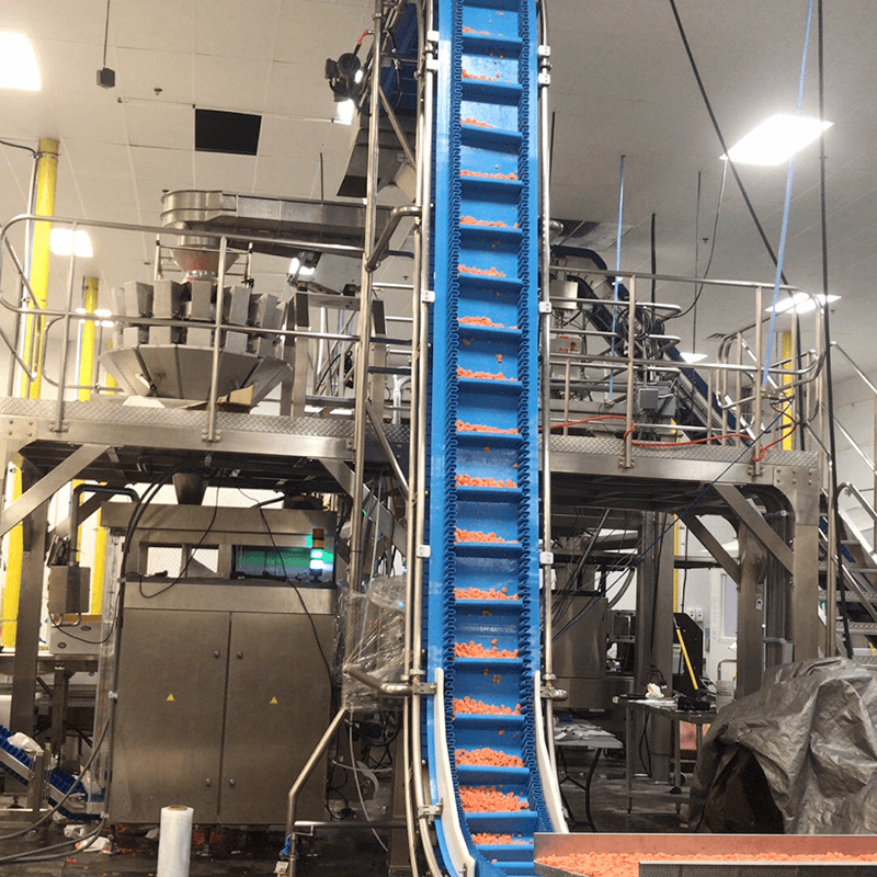 Food Grade Water-Washing Elevator & Conveyor