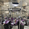 Multi Packs Counting Premade Pouch Packaging Machines