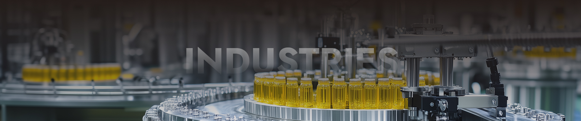 Packaging Machines for Food & Pharma Industries